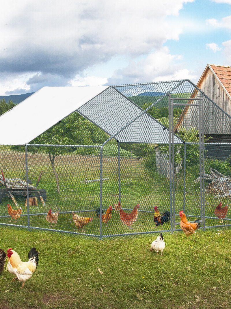 ZGBY Large 10X10Ft Metal Chicken Run Pen Walk-In Cage Poultry Coop Duck Rabbit House