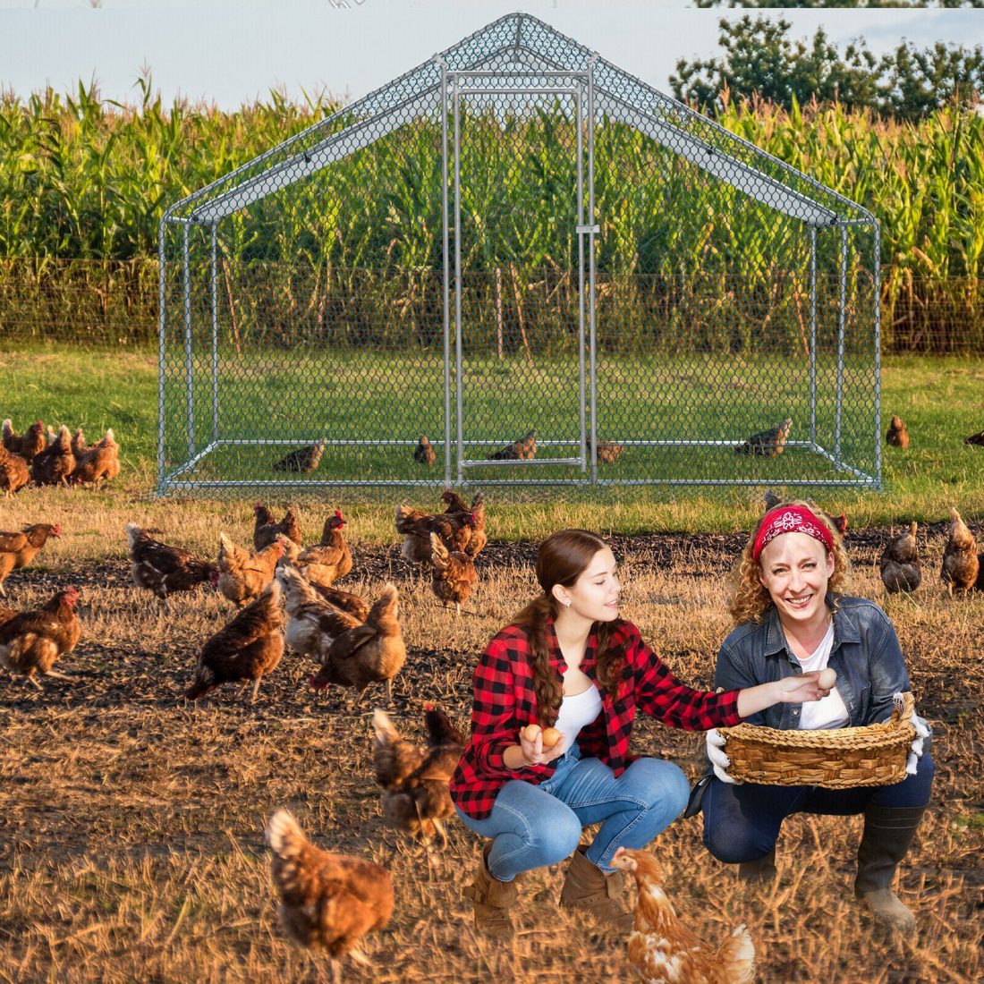 ZGBY 10 X 10Ft Metal Walk In Chicken Coop Run Cage Rabbit Hutch Hen House Enclosure - Image 2
