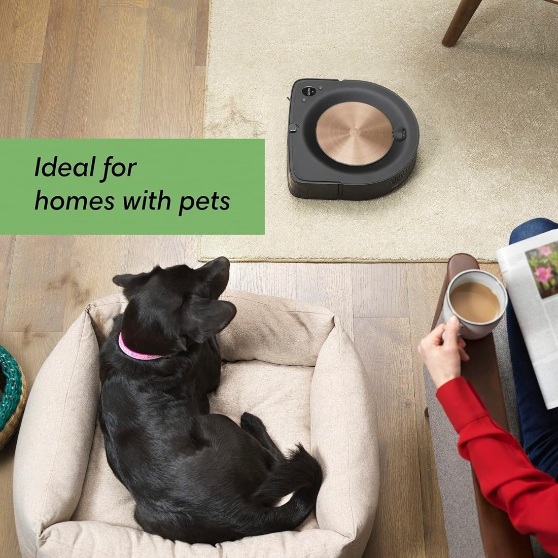 iRobot Roomba s9+ Self Emptying Robot Vacuum , Detects & Cleans Around Objects in Your Home, Smart Mapping - Image 3