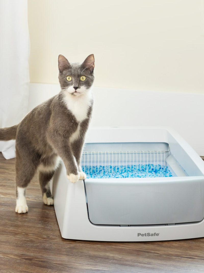 ScoopFree Complete Self-Cleaning Litter Box - No Scooping Required - Unbeatable Odor Control